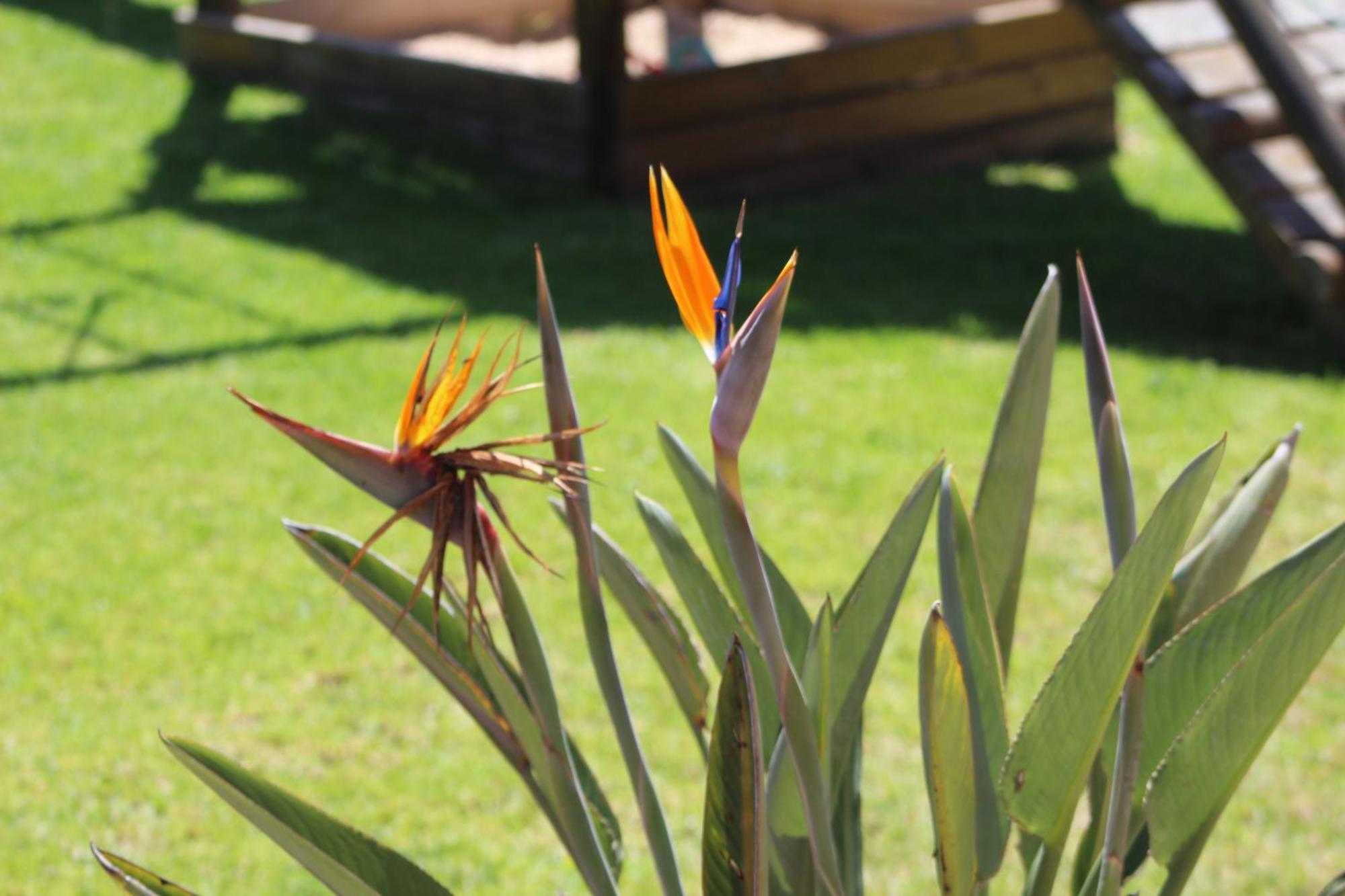 Hartenbos Private Game Lodge Exterior photo
