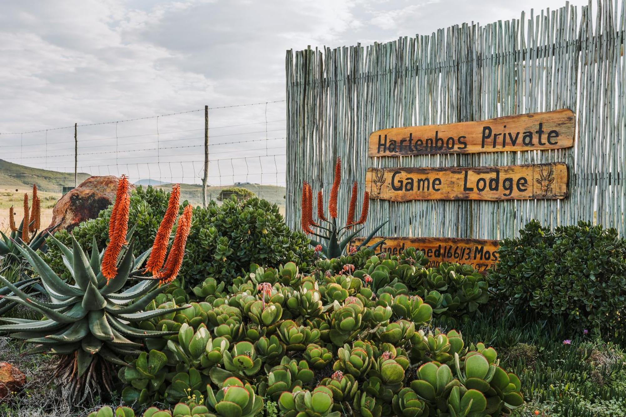 Hartenbos Private Game Lodge Exterior photo