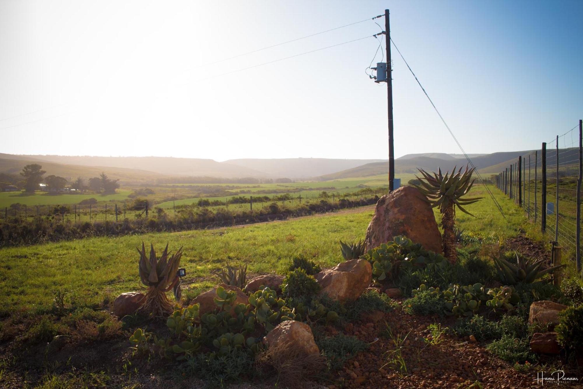 Hartenbos Private Game Lodge Exterior photo