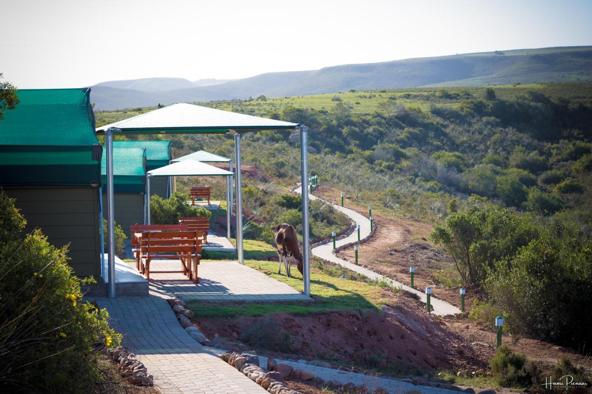 Hartenbos Private Game Lodge Exterior photo